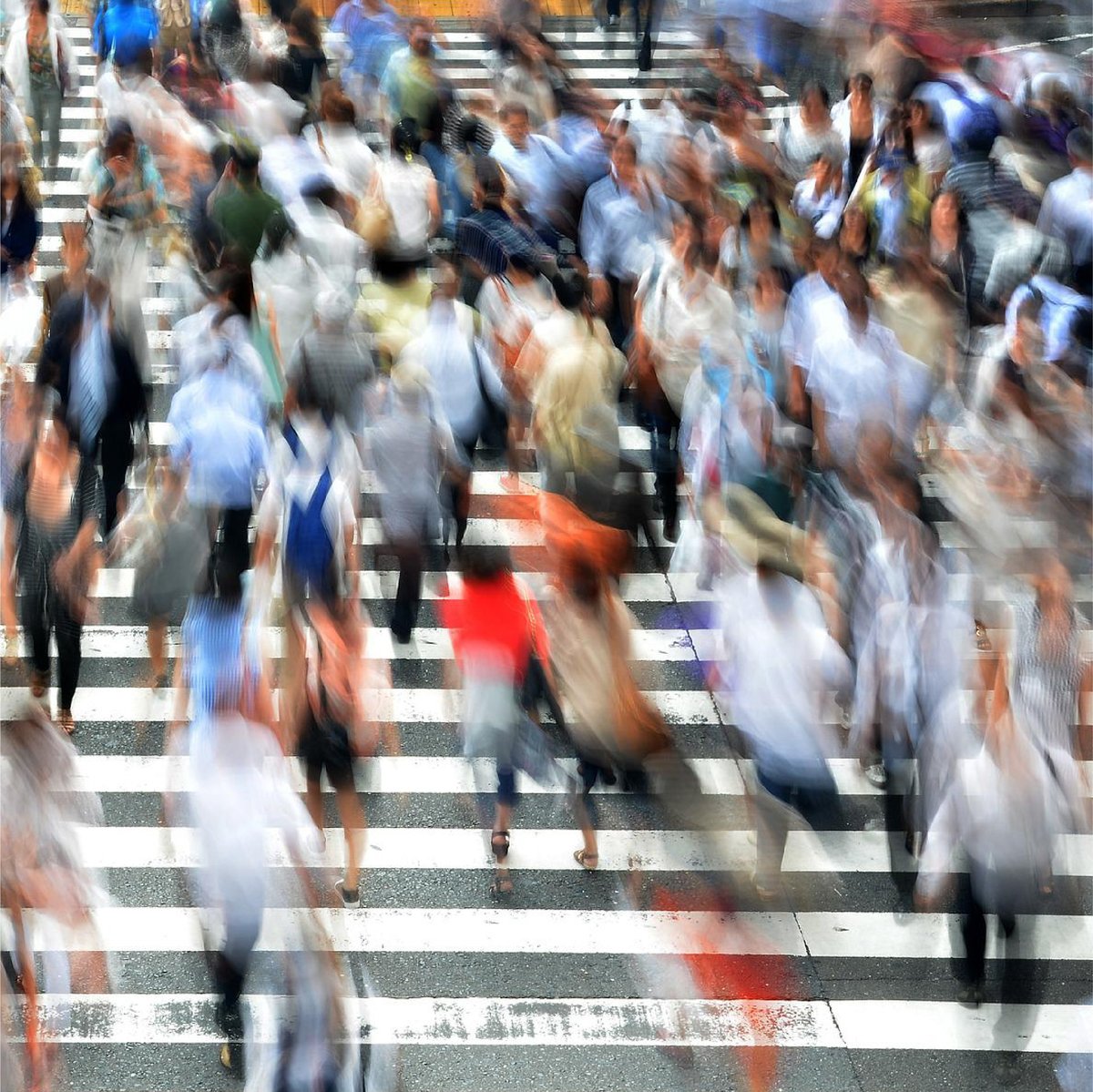 Green Chamber tweet media