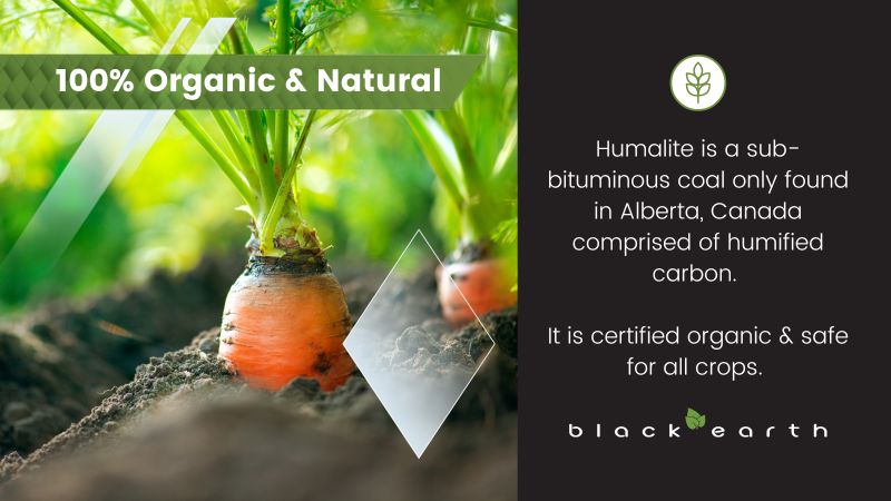 BEHumic's tweet photo. Looking to improve soil and plant health? Visit us at https://t.co/Hn3qbXatBM and learn the benefits of using #humics. #soilscience #organicmatter #fulvics #microbiology #carbon #potassiumhumates #biostimulants #agriculture #soilhealth #grazing #fertilizers https://t.co/0P41t3WEVT
