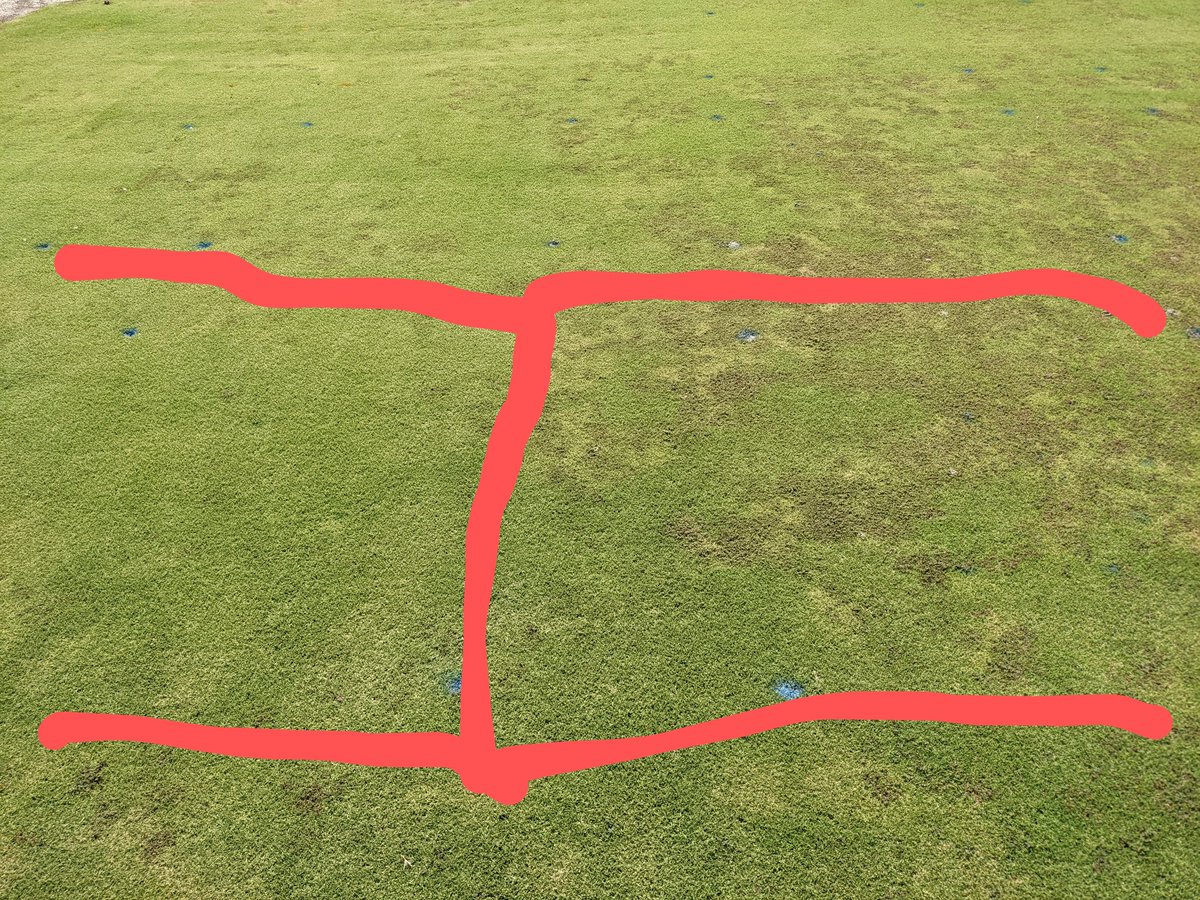 Healthy turf=fewer weeds. Plot on left treated with Reklemel nematicide for control of lance nematode, on right untreated.
