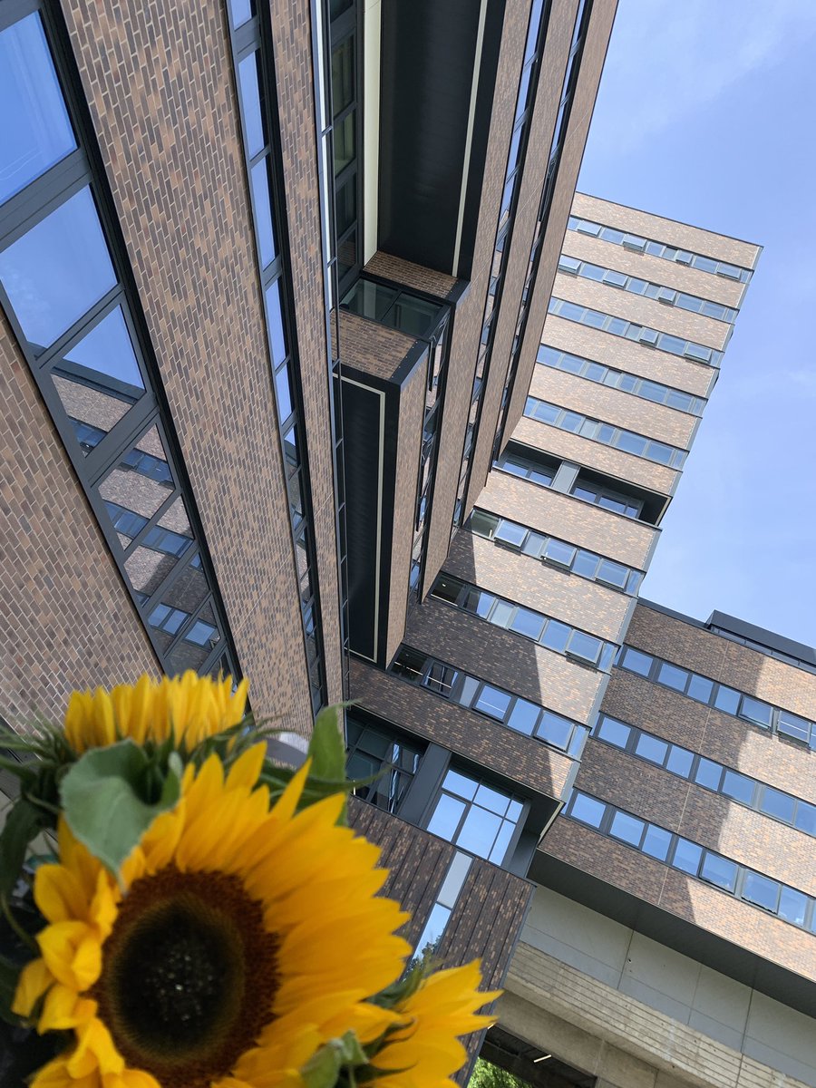 Al James tweet media