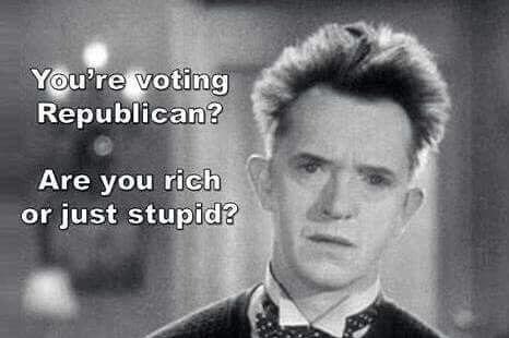 Blue voter tweet media