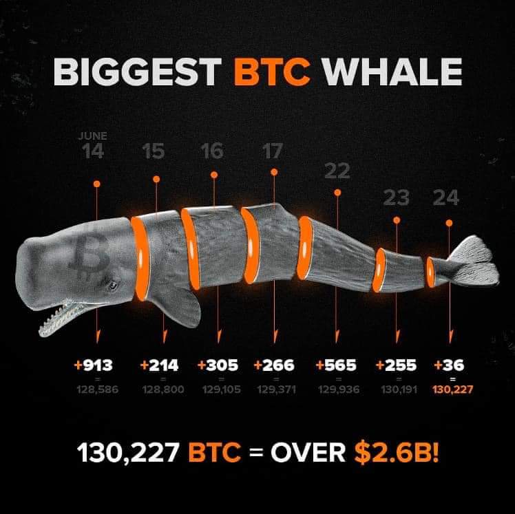 The biggest BTC 🐋 This person has been buying the dip on another level! Having purchased 2,554 Bitcoins since June 14th, talk about Diamond Hands 🙌💎
#Bitcoin