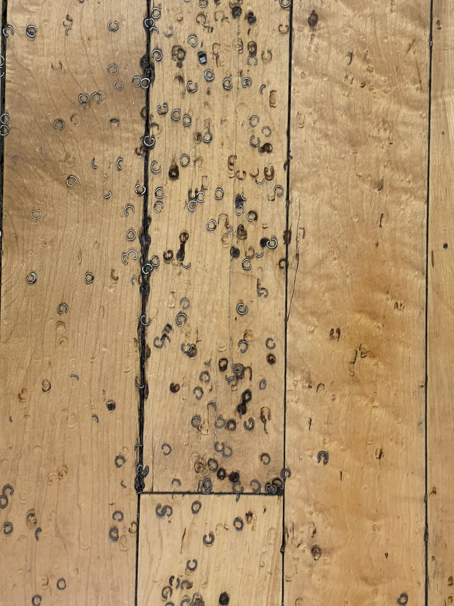 Trevor Anderson tweet media