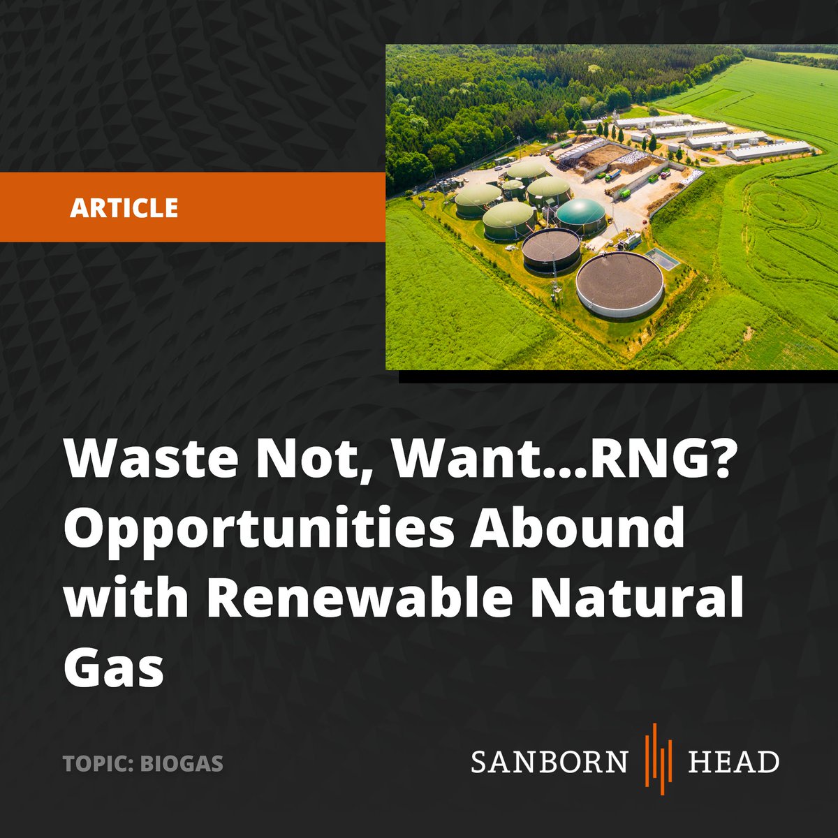 Sanborn Head tweet media