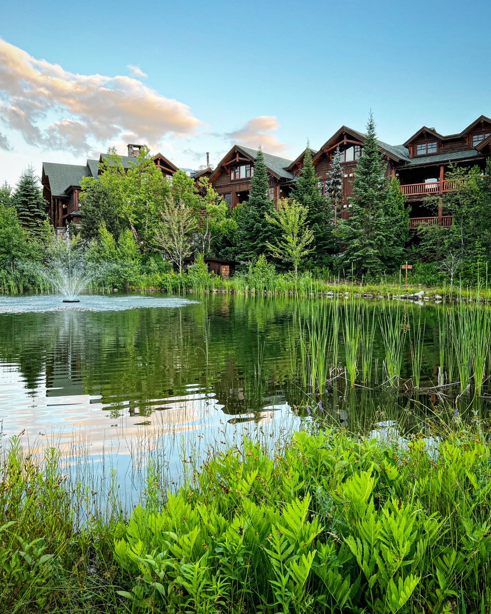 adjacent tweet media