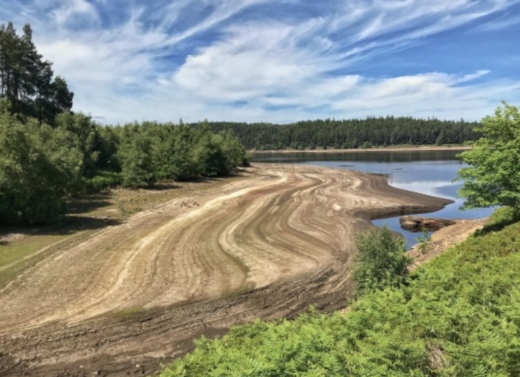 Hudsonweather's tweet photo. Exclusive: Water restrictions possible in Yorkshire as reservoirs fall to lowest July levels since drought of 1995. My report on @BBCLookNorth 7.20pm https://t.co/QOi5lEtQoq