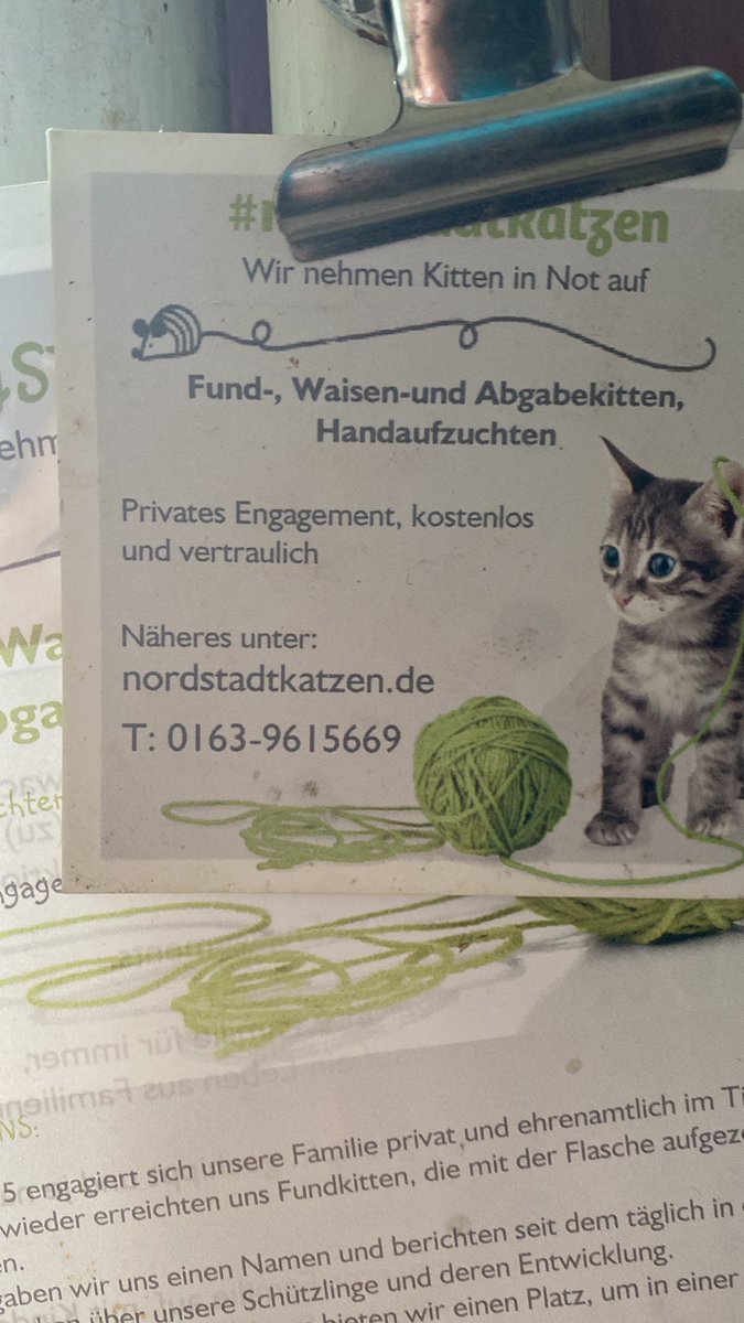 Für diese vier Welpen suchen wir eine Amme!

Die kleinen sind drei Tage alt, Sennenhunde, zwei Hündinnen und zwei Rüden, Handaufzucht nach Erstsäugung.

Sind heute in unsere Obhut gekommen.
Derzeit in 31785 Hameln

#nordstadtkatzen