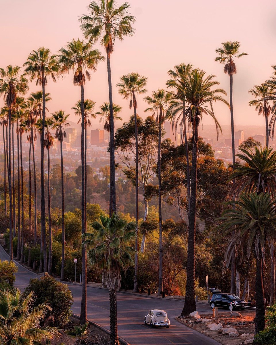 Andaz West Hollywood (@andazweho) on Twitter photo Palm trees π΄ Sunsets π
and $6/gallon gas π Yup - LA has it all! Stay at our property's prime location so you can catch all the sights and get around easily.
πΈ <a href="/dannydemarcos/">Danny de marcos</a> #AndazWeHo #LosAngeles #LA #westhollywood #sunsetstrip #WeHo #WeHoCulture #palmtrees #California Palm trees π΄ Sunsets π
and $6/gallon gas π Yup - LA has it all! Stay at our property's prime location so you can catch all the sights and get around easily.
πΈ <a href="/dannydemarcos/">Danny de marcos</a> #AndazWeHo #LosAngeles #LA #westhollywood #sunsetstrip #WeHo #WeHoCulture #palmtrees #California