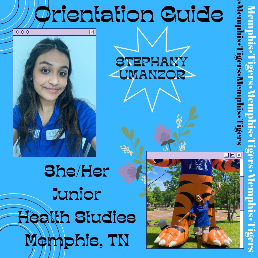 Memphis Admissions tweet media