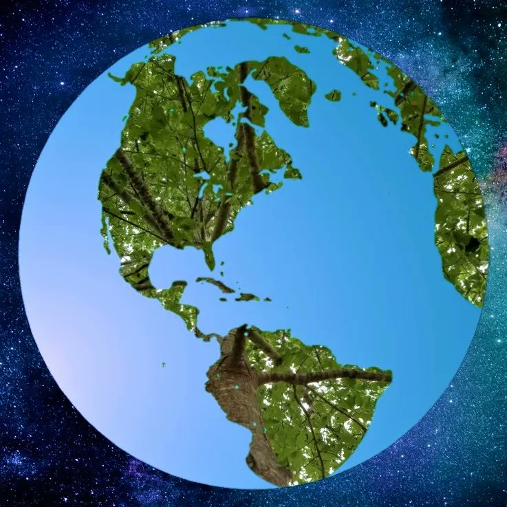 able_acorn's tweet photo. Trees are integral to life on Earth. Trees impact the water cycle, animal habitats, and many other areas, but oxygen, without trees we just wouldn't have enough.
#treeworld #oneplanet #treesforthefuture #treesforlife #treesfordays https://t.co/kONKNpLzug