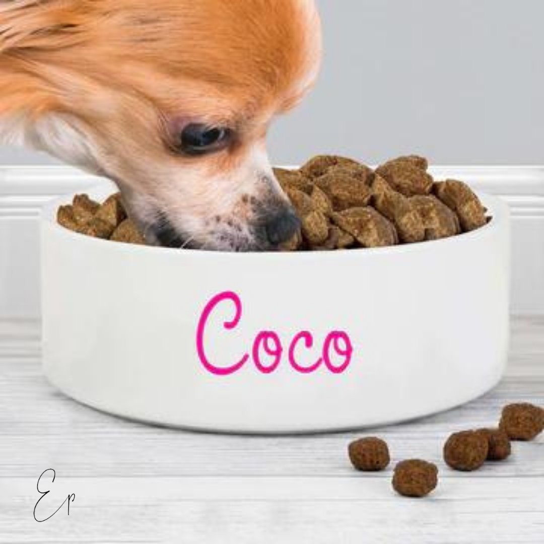 everythingperso's tweet photo. This fun and practical ceramic pet bowl is perfect for a pet's food or water.

Shop our selection of pets personalised products at https://t.co/uocDjg8R0Z

#personalisedgifts #everythingpersonal #shopping #gifts  #customisedgifts #madewithlove #giftingideas #weddingpresent https://t.co/FntnPVfkUX
