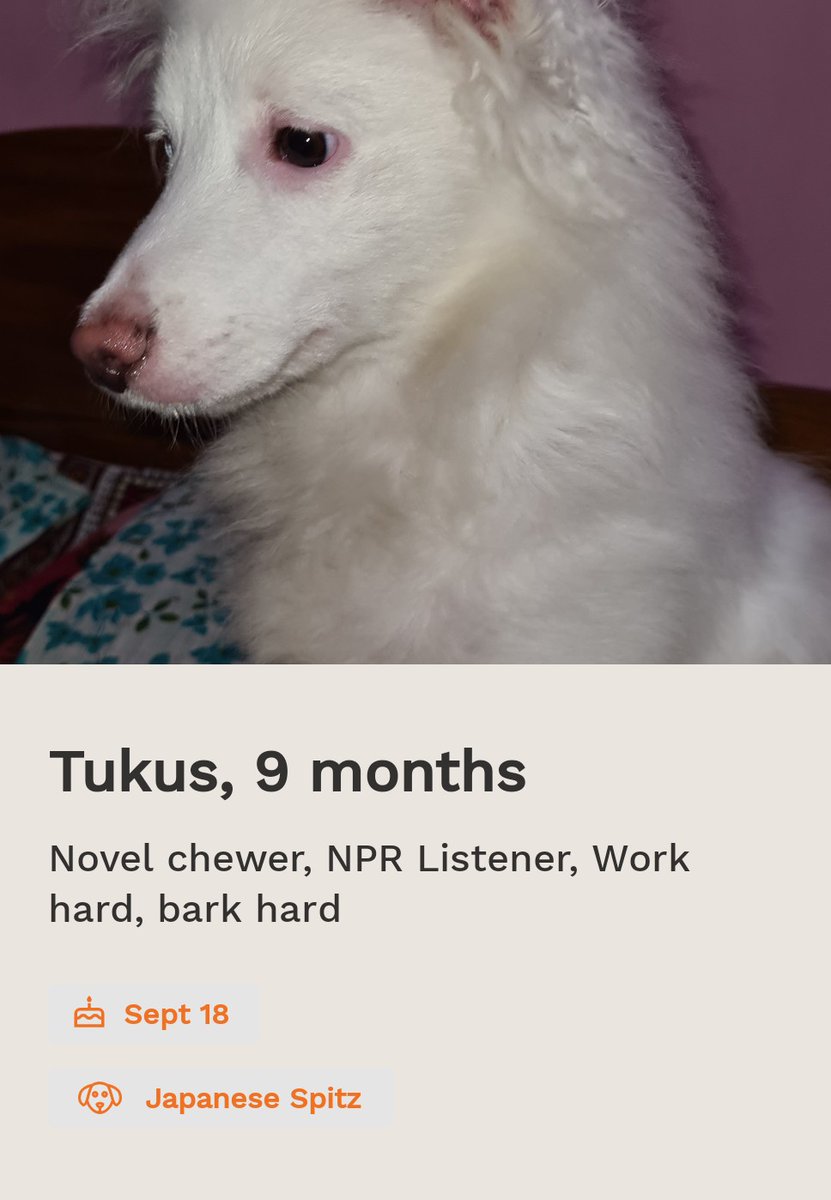 I get answers to all my pet queries on Sploot! Is your pet on Sploot yet?
Download the app and checkout their community Q&amp;A feature - sploot.onelink.me/Jzmr/9e8a3765