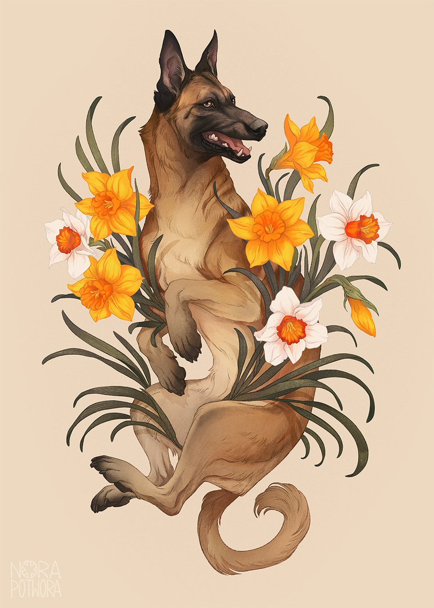 「Pet poster commission of Maya 」|Nora Potworaのイラスト