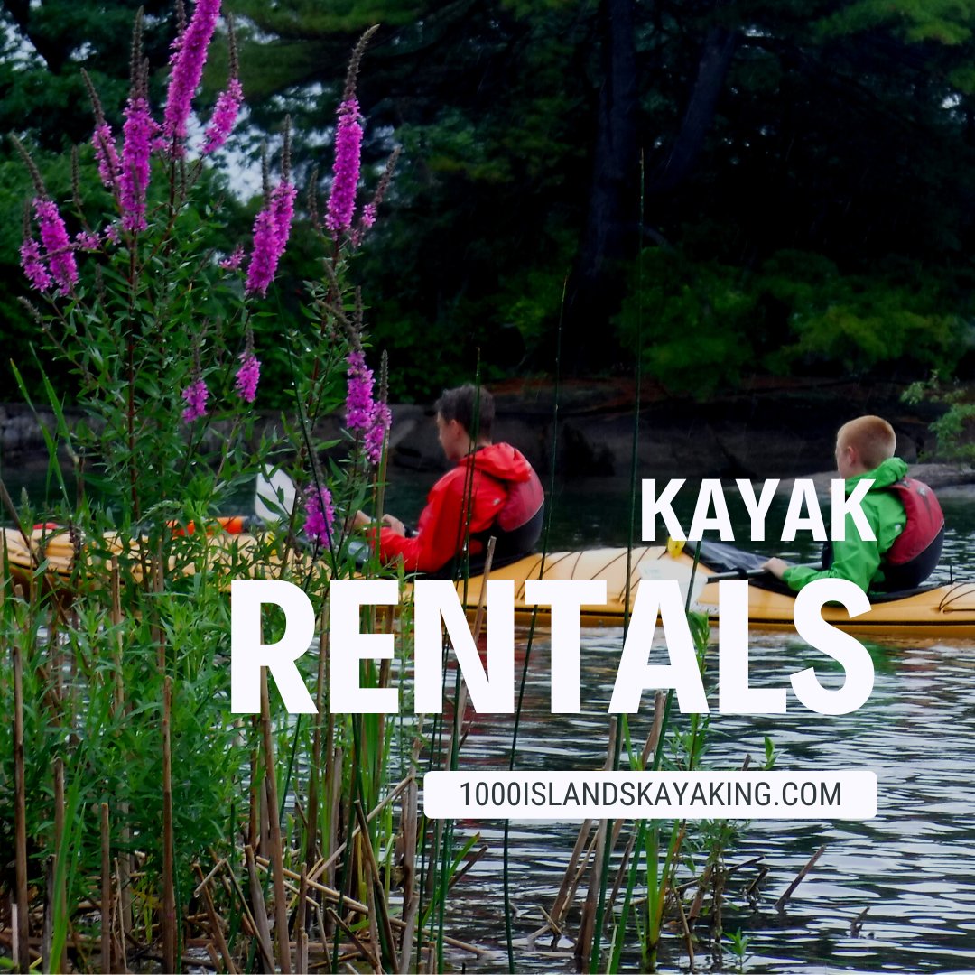 1000 IslandsKayaking tweet media