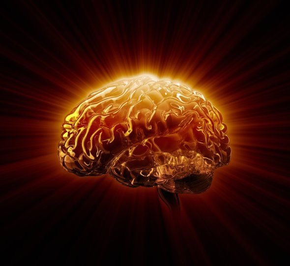 RHujeily's tweet photo. البورد السعودي لطب الأعصاب 🧠

ثريد يتناول الإجابة على بعض الأسئلة الشائعة حول التخصص، بالإضافة لبعض النصائح التي تساعد بعد توفيق الله عز وجل في القبول بالبرنامج👨🏻‍⚕️👩🏻‍⚕️ https://t.co/1RtVGMT73v