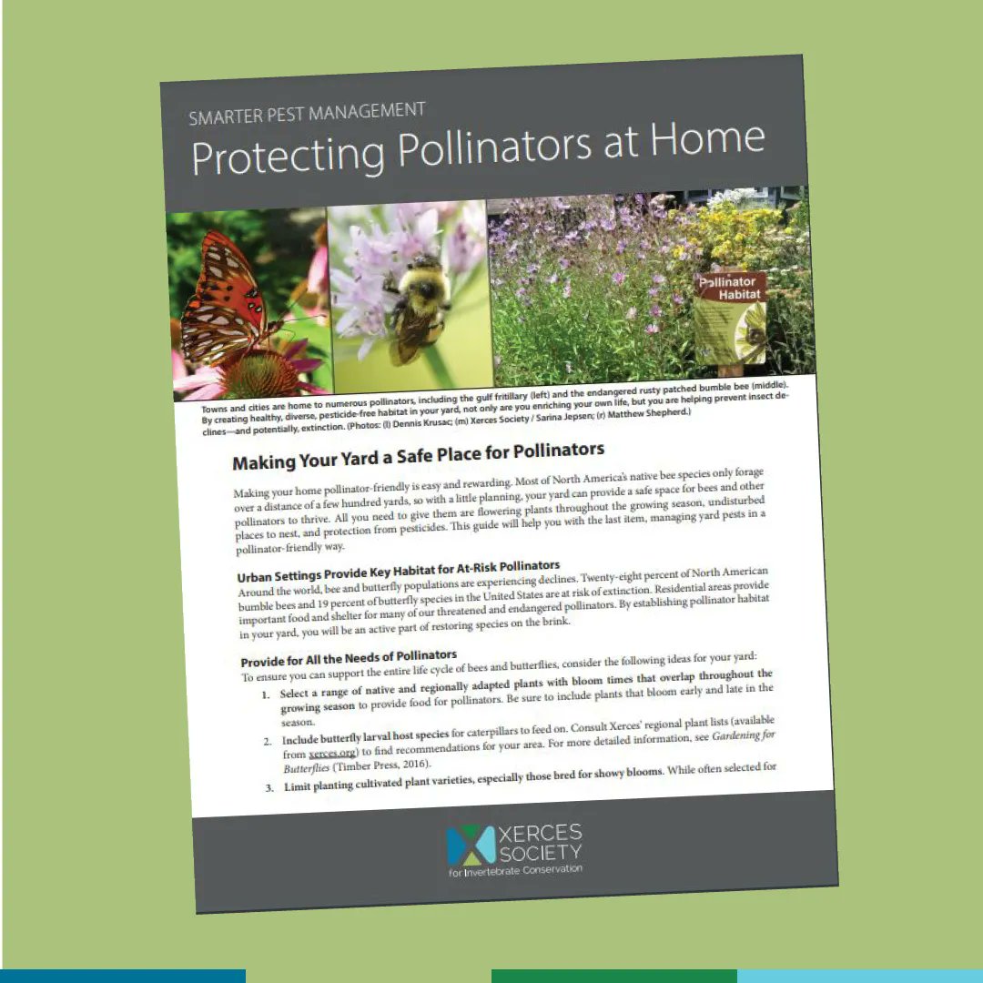 xercessociety's tweet photo. Got weeds and pests? Check out our guide, "Smarter Pest Management: Protecting Pollinators at Home" https://t.co/meSRfhdwYE https://t.co/4Gp6rXam79