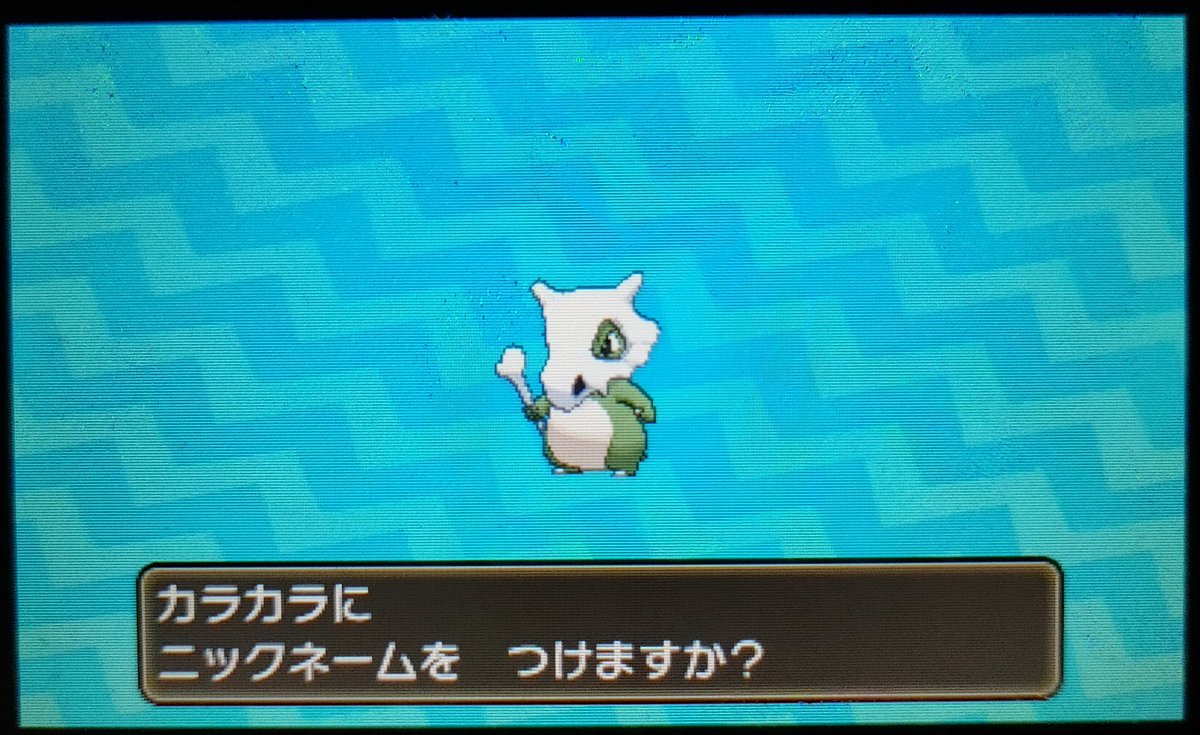 色違いグレ 系カ ディカ ン 後赤があります Scowlshop Com