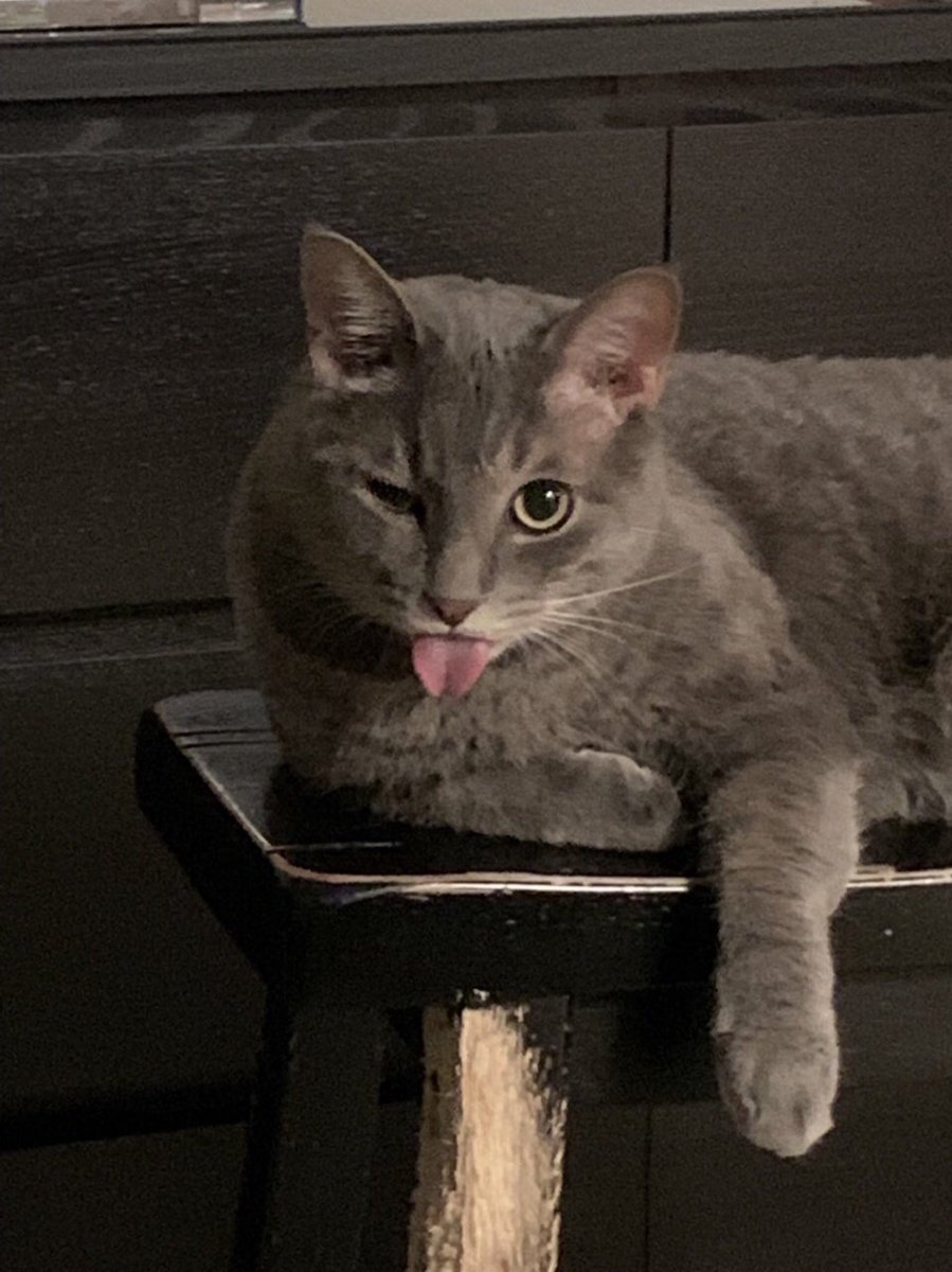 😜