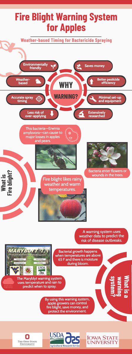 Check out our new infographic on the warning system for Fire Blight management in apples:
smartapplespray.plantpath.iastate.edu/files/inline-i…
<a href="/USDA_NIFA/">NIFA</a> <a href="/ISU_IPM/">Iowa State Plant Protection</a> <a href="/PlantPathISU/">ISU Plant Pathology</a> <a href="/OSUPlantPath/">OhioStatePlantPath</a> @LauraJesseIles <a href="/Jgonzacu/">José González</a> @ISU_HortNews