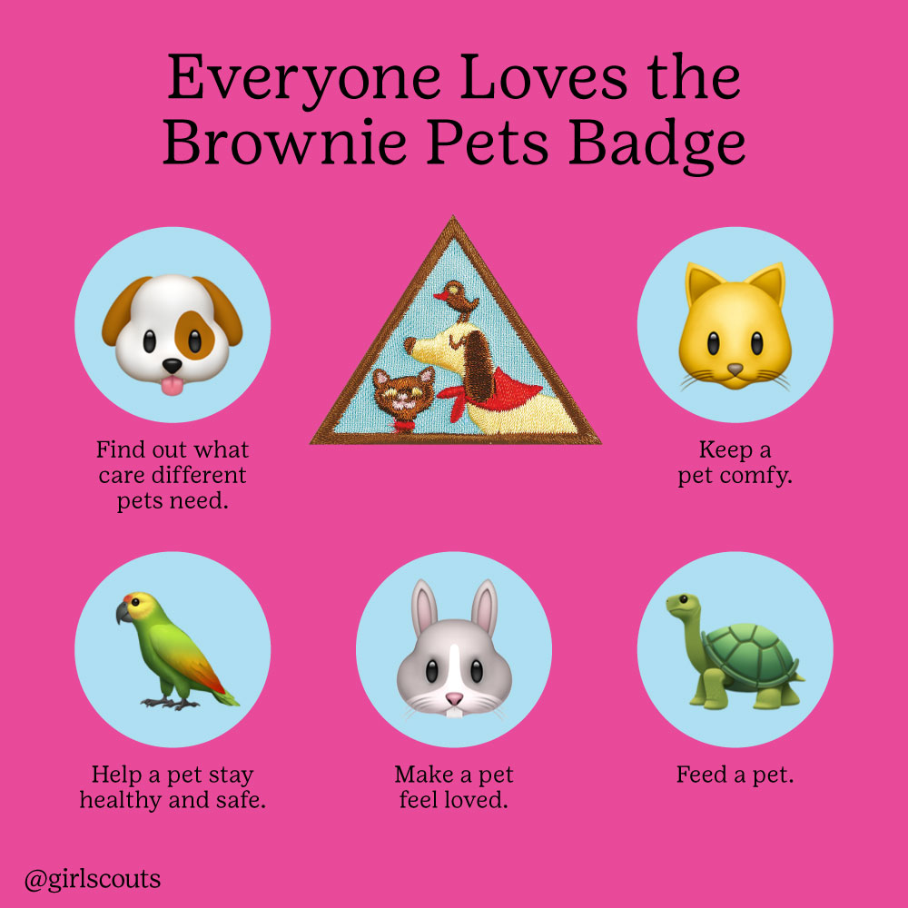Girl Scouts on Twitter "Breaking mews! 🚨🐱 The updated Brownie Pets