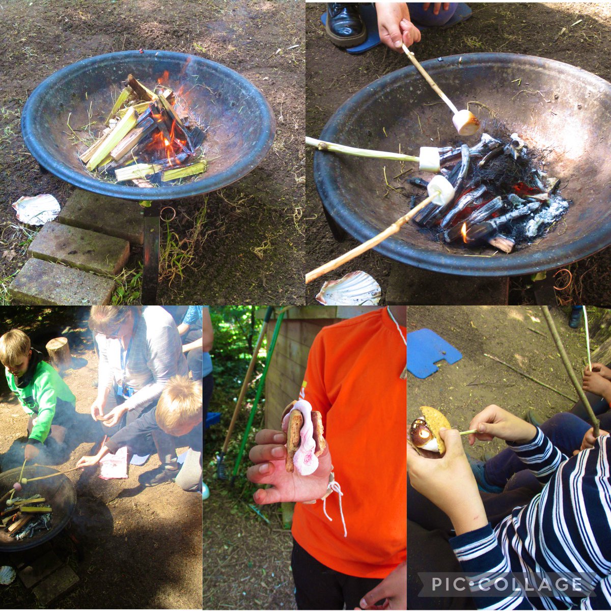 Cliff Lane Kingfishers tweet media