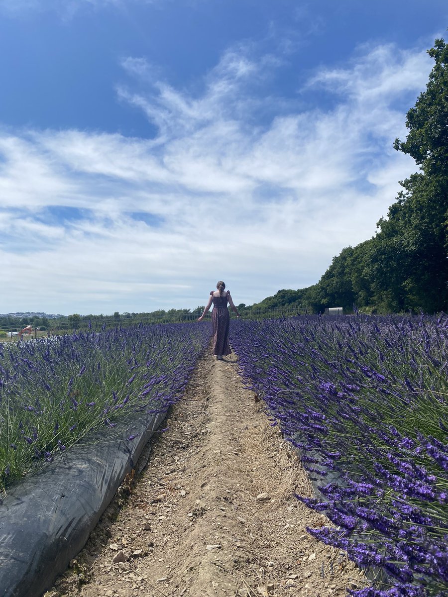 SophieLWrites's tweet photo. My day in three pictures βοΈ days like this and I love living in Cornwall! #whenimnotwriting https://t.co/7DRRokcExf