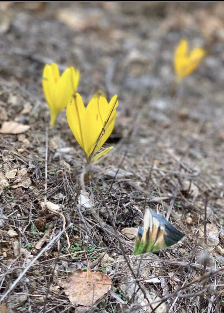 Herkese iyi bayramlar