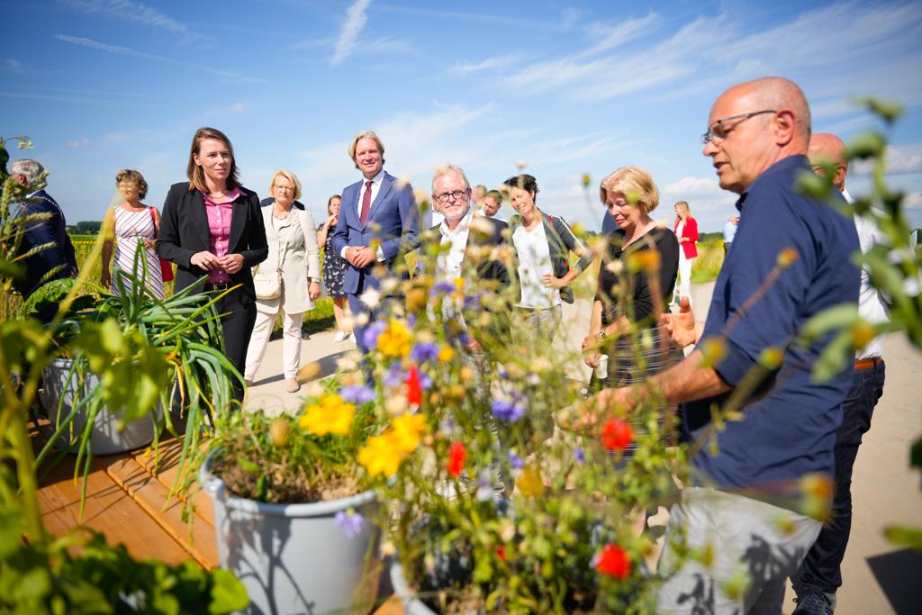 Zuid-Hollandse Delta tweet media