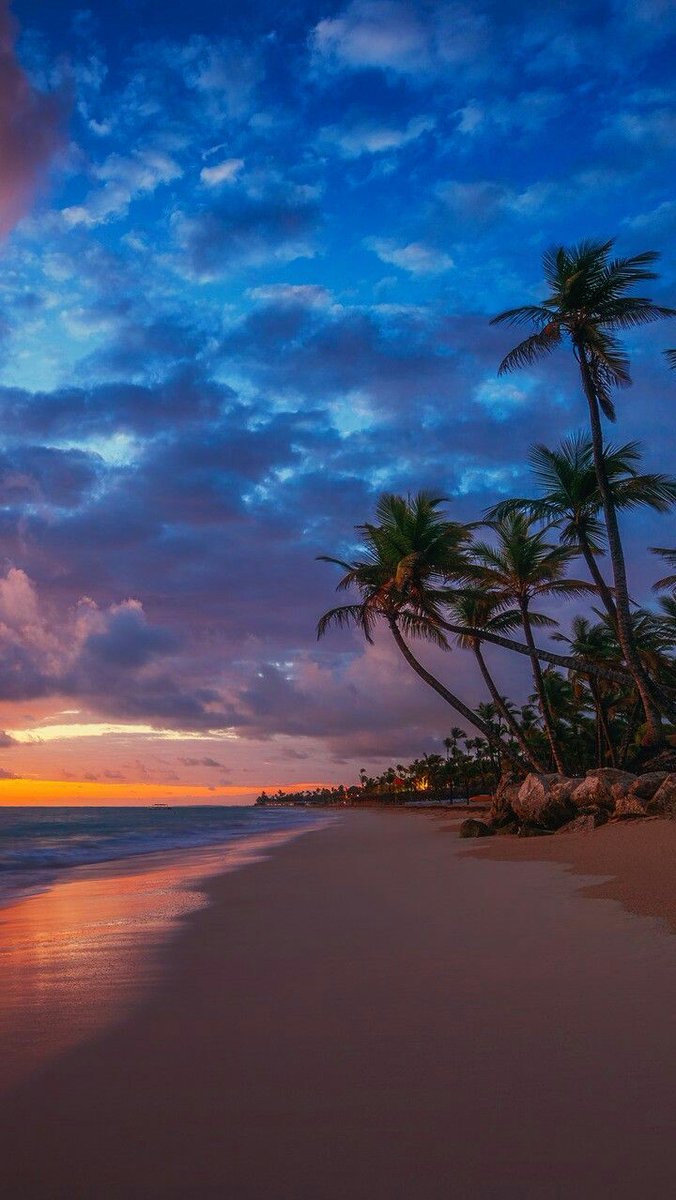 Soul_Art8's tweet photo. Good night 💙🌴✨
#NaturePhotography #beach #NatureBeauty #night https://t.co/0DV3bwwTs3