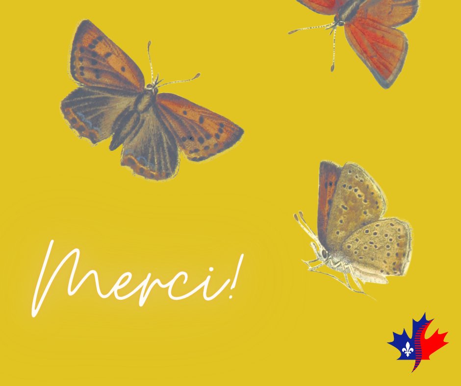 FswcQuebec's tweet photo. Merci au donateur anonyme qui a fait un don via https://t.co/jb1a9ttECQ, à Martin Lunkenbein pour sa récente collecte de fonds, ainsi qu'à tous les participants du Grand Défi Caritatif Canadien 2022! Le centre puise son fonctionnement, entre autres, grâce à vos généreux dons. https://t.co/FYP0yJPYzj