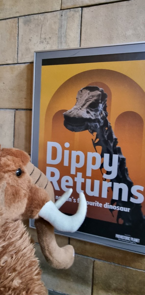 UBSSmuseum's tweet photo. A #mammothMonday thread on visiting the Natural History Museum to see #dippy #dippyreturns https://t.co/Ef24OcnMUe