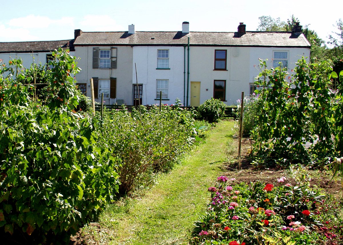 jfneville1's tweet photo. Booking now open for joint @devonhistorysoc & @devongardens symposium on 10 Sep Exeter Central Library. Members discuss vegetable, fruit and flower growing in #Devon #Devoninthe1920s What changed after WWI? What stayed the same? Booking via Eventbrite £10 https://t.co/1Psfan40iK https://t.co/9rtkewGh5v