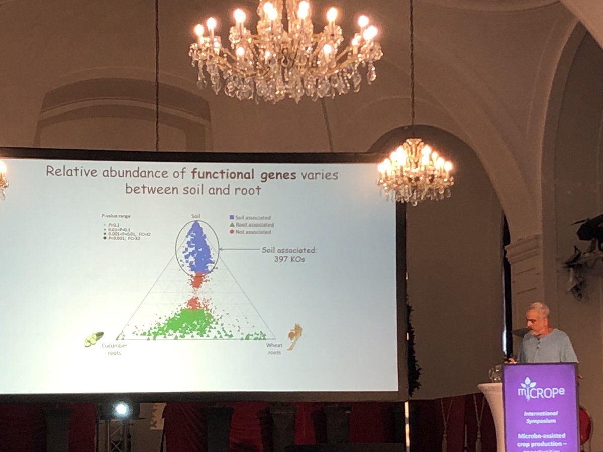 Elisa Korenblum (@elisakorenblum) on Twitter photo Always learning with the research done by the group of Dror Minz <a href="/soil_volcani/">Soil and water- Volcani center</a> #miCROPe2022 the root microbiome is host specific and indicates, as sensors, the conditions in the #rhizosphere Always learning with the research done by the group of Dror Minz <a href="/soil_volcani/">Soil and water- Volcani center</a> #miCROPe2022 the root microbiome is host specific and indicates, as sensors, the conditions in the #rhizosphere