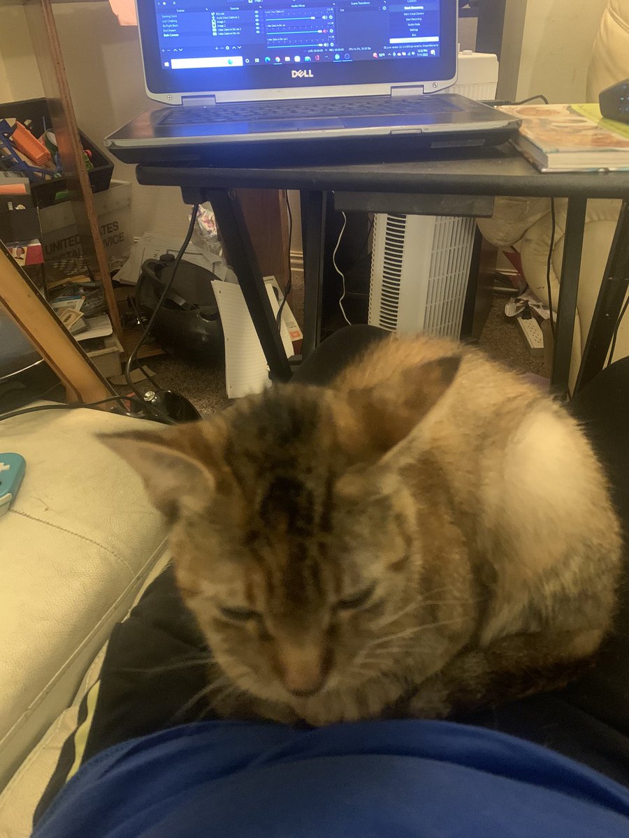hsuperstarfit's tweet photo. The cat that has chosen me as her official human for the day. #HumanOfTheWeek #SheUsuallyHatesEveryone https://t.co/0DJktaqRxv