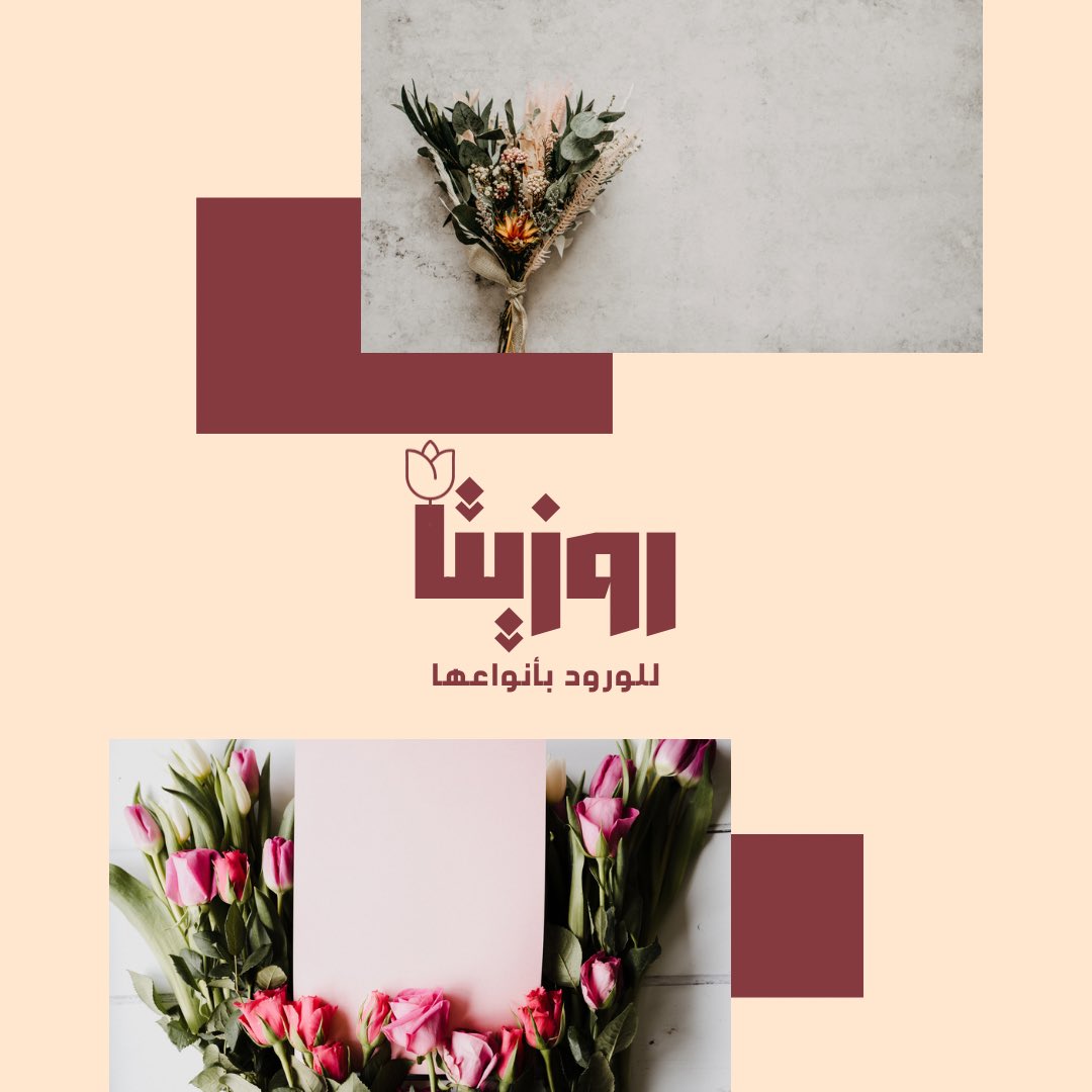 Elephant AI ايليفنت tweet media