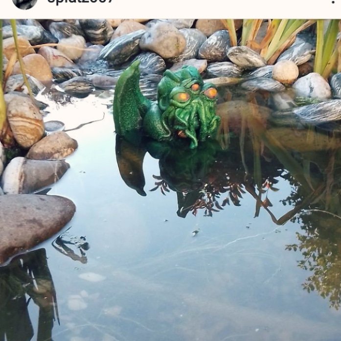 LawnofthedeadUK's tweet photo. My buddy Vampire Pete purchased one of my Cthulhu garden ornaments. Here is is rising from his pool.
#Cthulhu #callofcthulhu #ryleh #eldergod https://t.co/y189QpjFXS