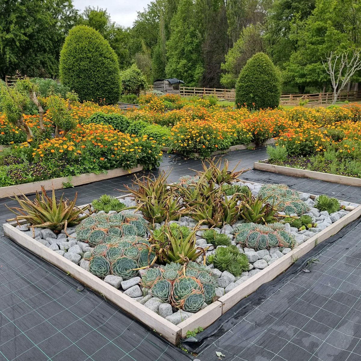silvalandscapes's tweet photo. The best of the rest of the kitchen garden @fundacao_serralves
#gardendesigner #landscapedesigner #landscapearchitect #gardendesign #landscapedesign #paisagismo #jardin #giardini #gartendesign #gardensofinstagram #instagardens #kitchengarden https://t.co/fhTqmLfl7G