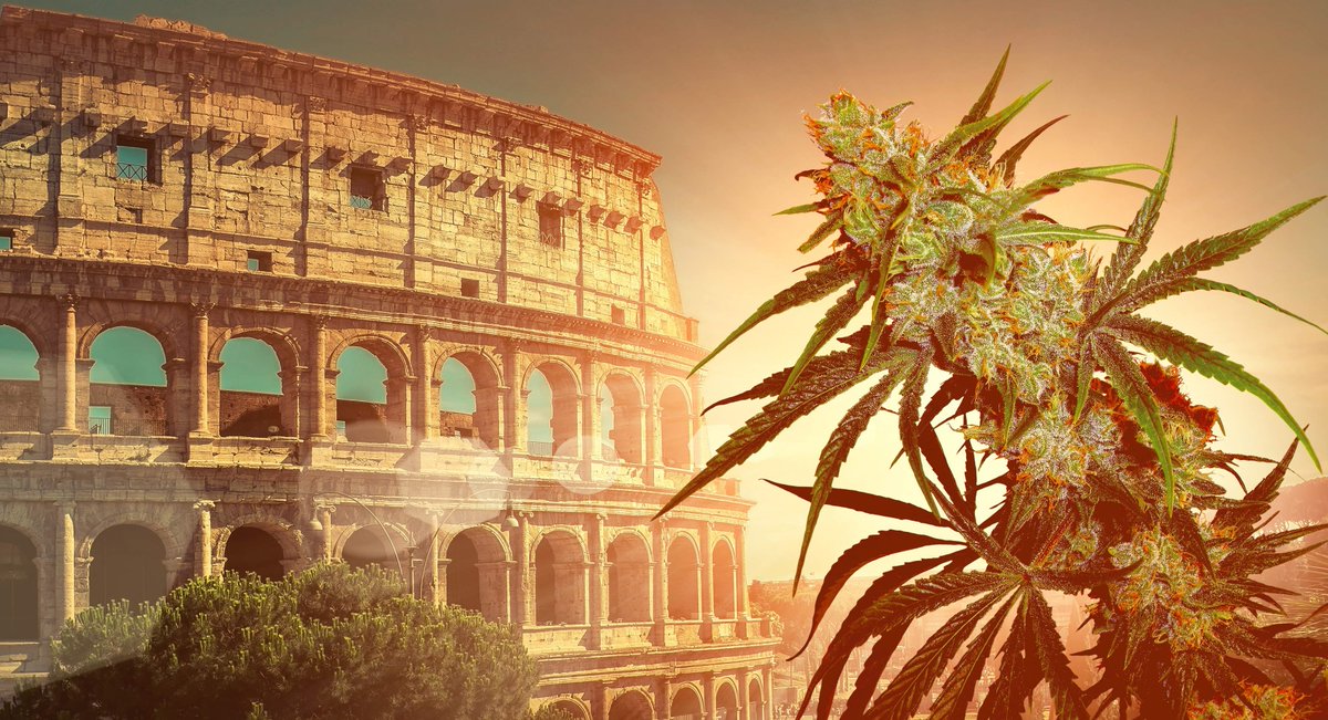 CLEARdrugpolicy's tweet photo. ITALY Could Allow Home Cultivation Of Up To Four #Cannabis Plants By The End Of The Year. Govt report suggests moving "from the repressive model to a model of  regulation" #drugspolicy https://t.co/7XjFa0sryc https://t.co/HSy7PY69Du