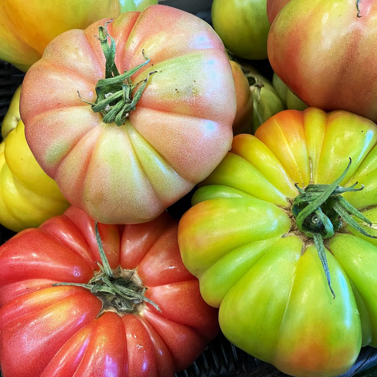 Mariposa Food Co-op tweet media