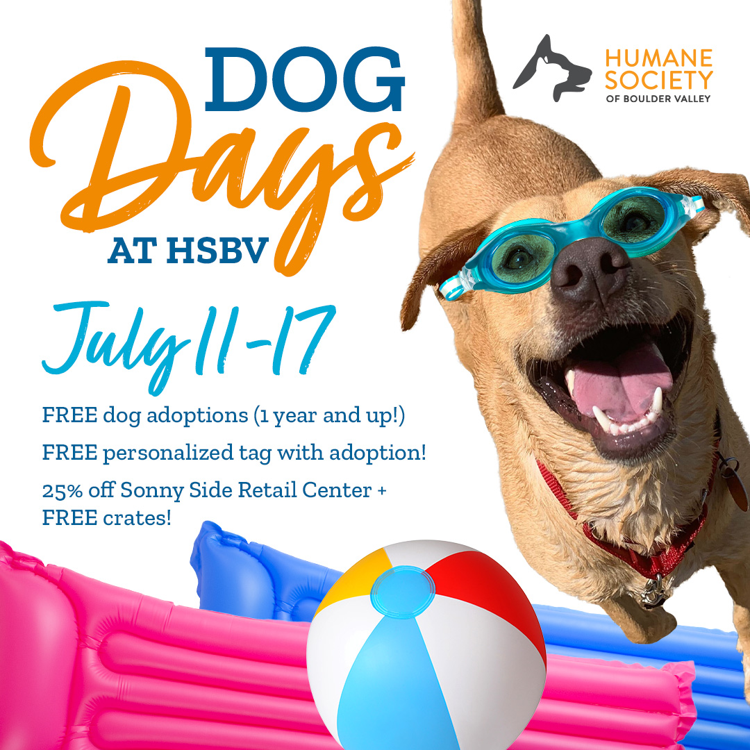 HumaneBoulder's tweet photo. Come see us this week for Dog Days at HSBV! You just might meet your new family member! ❤️🐾 #HSBV #AdoptAShelterPet #AdoptAShelterDog https://t.co/OCQkaY3woV