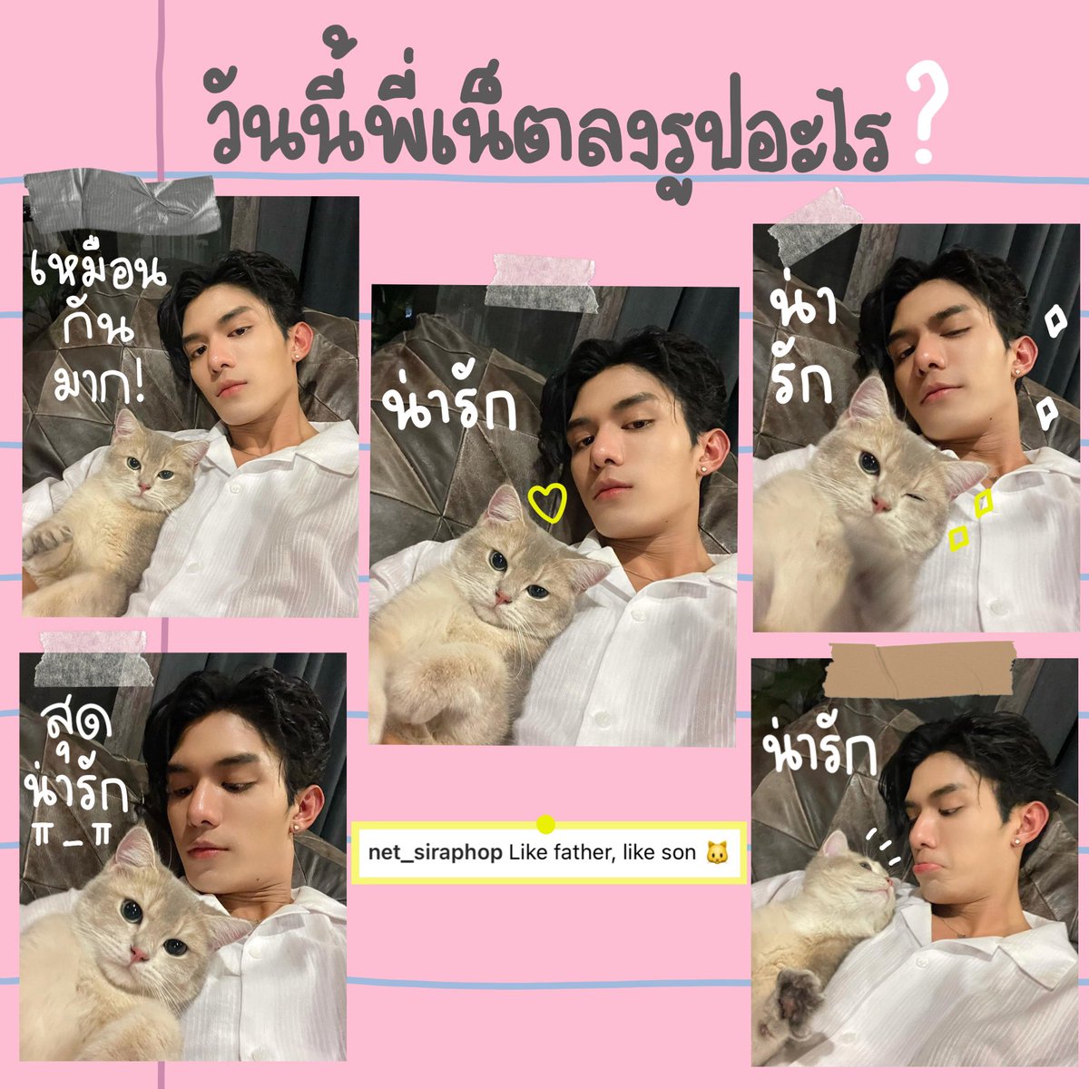 everydaewithnet's tweet photo. วันนี้พี่เน็ตทำอะไร 🐈
#everydaewithnet #netsiraphop https://t.co/XUVLBu1Yx1