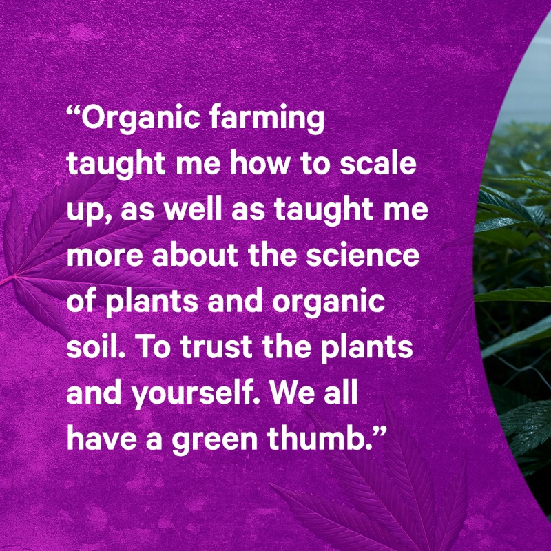 ONCannabisStore's tweet photo. At @GrnOrganicDutch, master grower Kris Leblanc has one goal: cultivate the highest quality, most potent bud using organic, earth-friendly processes. 🌱 He’s succeeding. Get the inside scoop on what Kris and TGOD do differently, and why it works: https://t.co/jiFUZwefT6