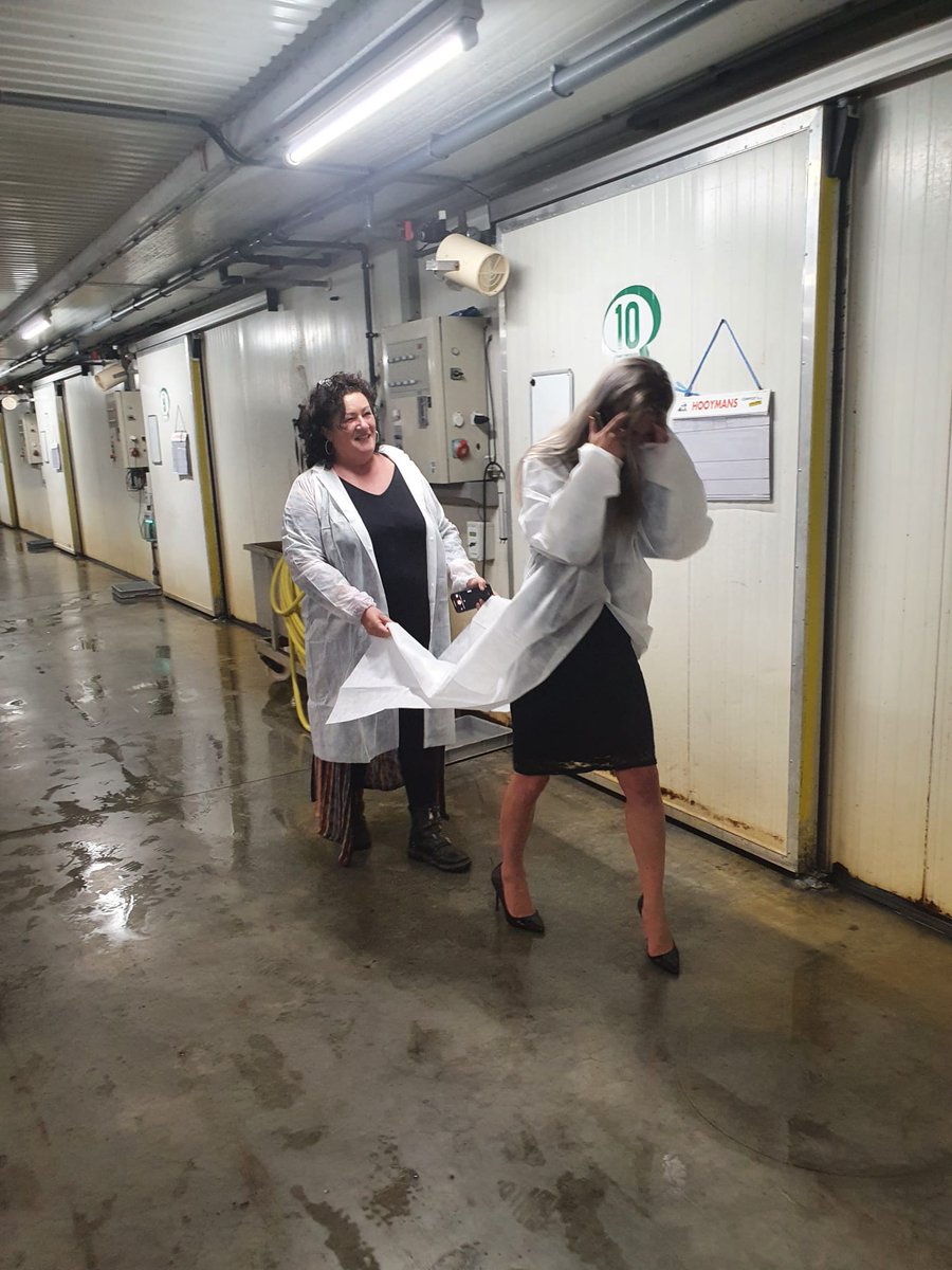 Femke Marije tweet media