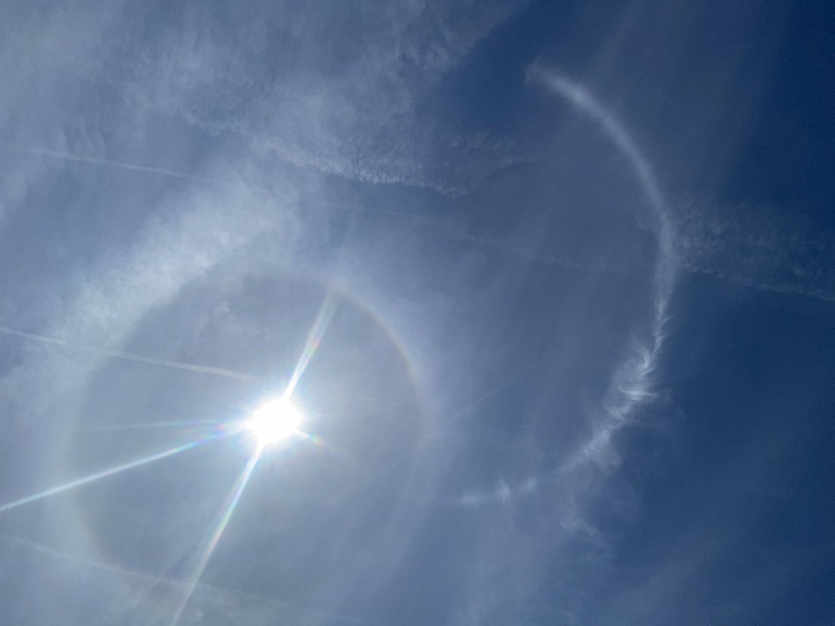 Rachael Keegan tweet media