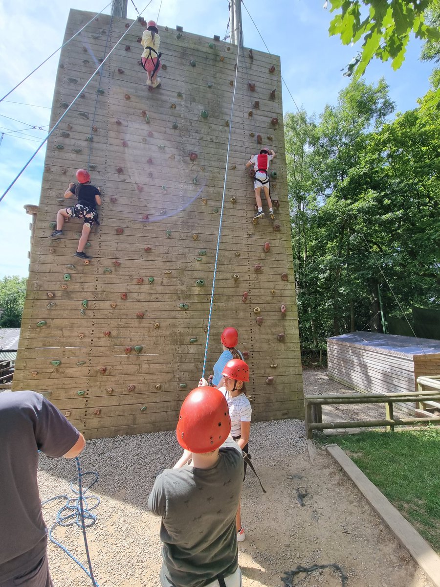 Miss Toward tweet media