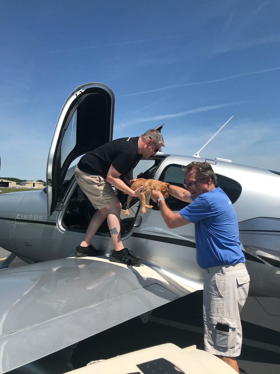 PilotsNPaws's tweet photo. 16 Puppies’ Flights to Freedom✈️
It took several flights to get the puppies to their final destination, but they all arrived safely with the help of our amazing volunteers! 
#PilotNPaws #volunteers #RescueDogs https://t.co/nC61fSCnAT