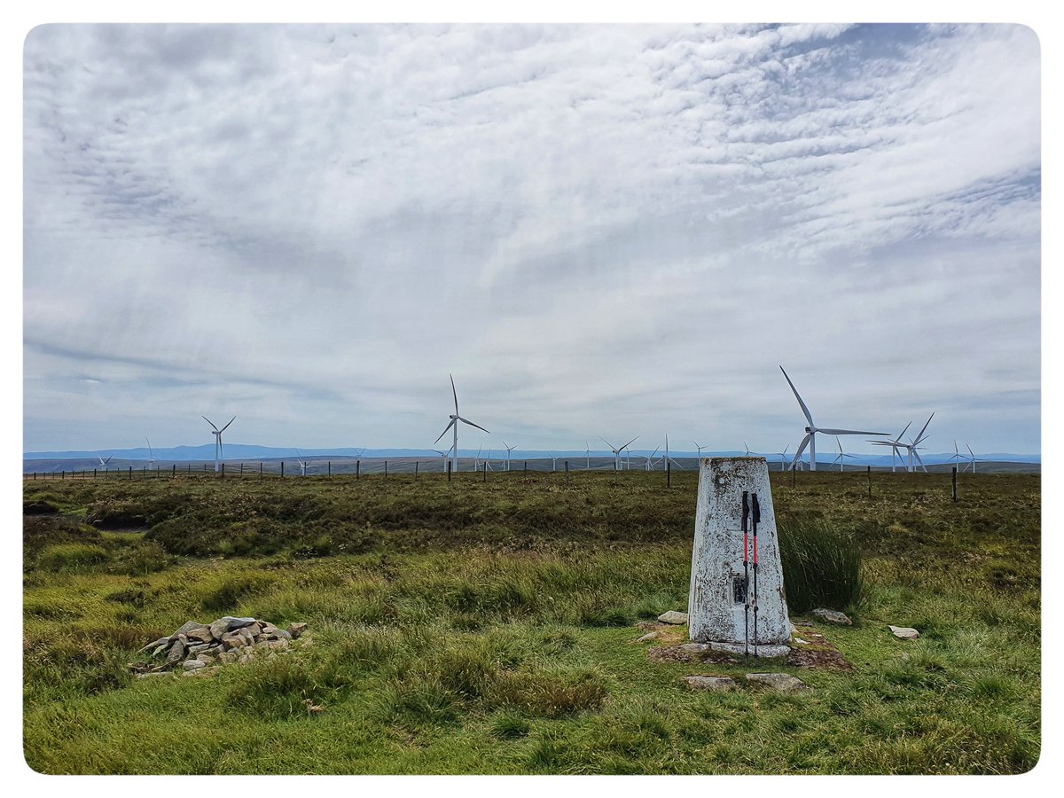 bpackingbongos's tweet photo. If you like grouse moor monoculture, bulldozed tracks, extensive muir burn, animal traps, game bird rearing pens, and the whirring of wind turbines you will love the Lammemuir hills. Felt very sterile and generally uninspiring. #unwilding https://t.co/wOAhSPeTeR