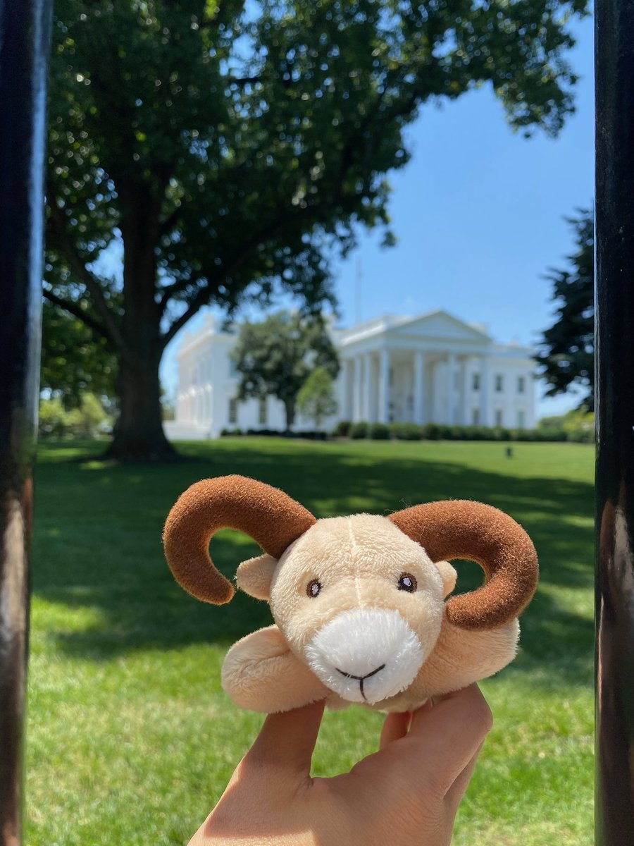 Ronnie the Ram visiting the White House #CRESCulture <a href="/centreridgees/">Centre Ridge Rams</a>
