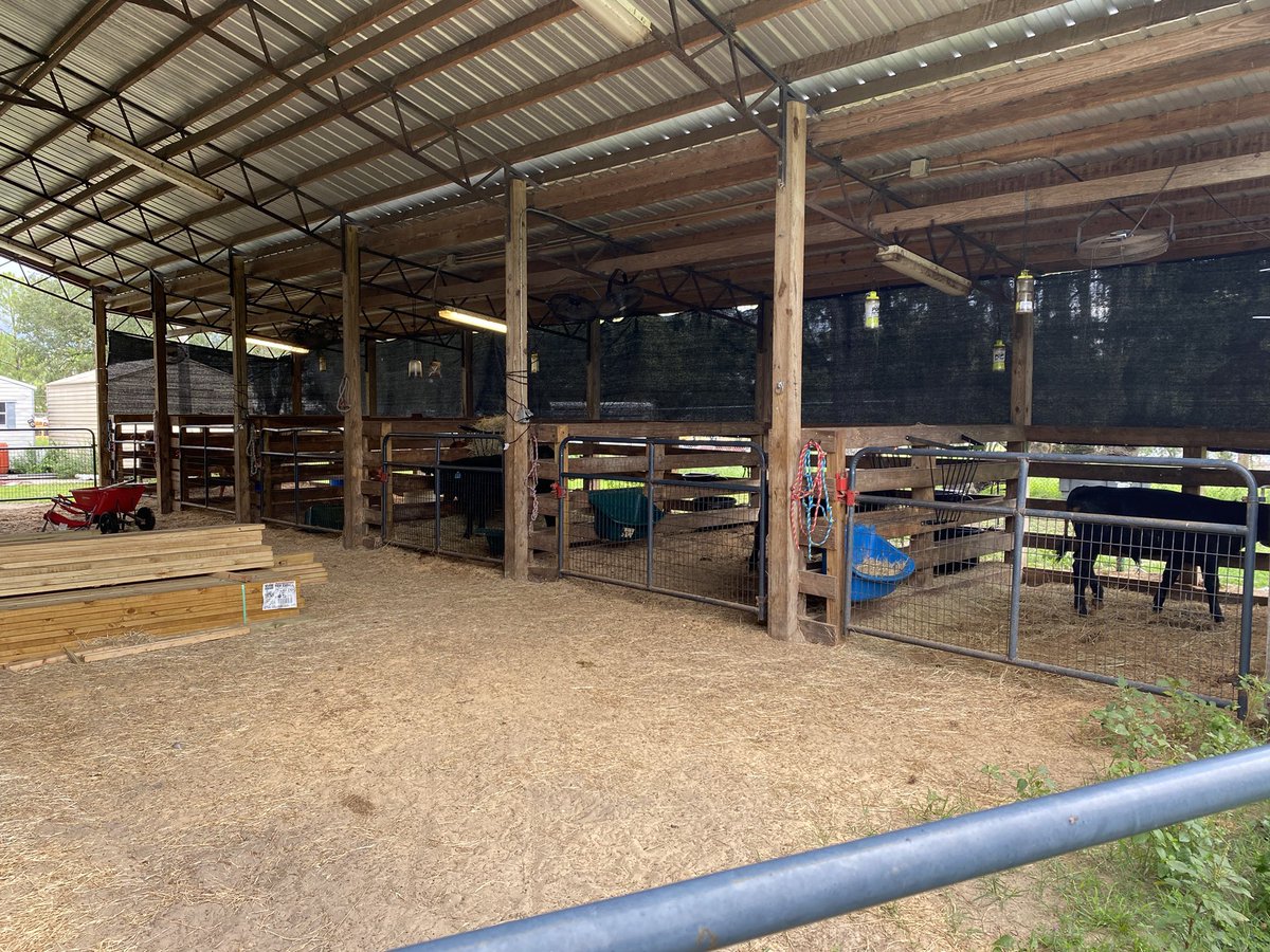 HHSRogers's tweet photo. Our land lab for @ffa_hudson is getting updated with new stalls for goats! Looking forward to the new additions!
Thank you to the Kunzinger family! @hhscobras https://t.co/U0asx4DLiq