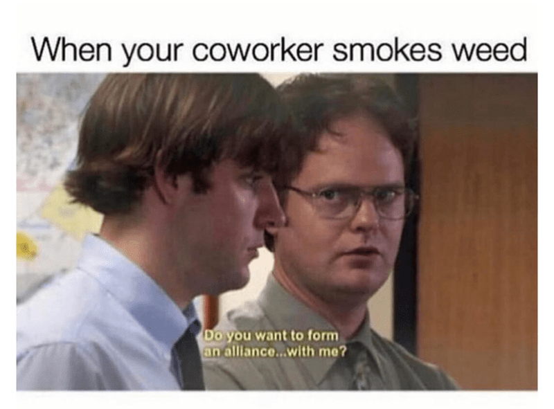 M_Seeds_nl's tweet photo. 🤣🤣 Tag your stoner work buddy...

#msnl #mememonday #theoffice #stoners #workbuds https://t.co/aWXGa3trtM